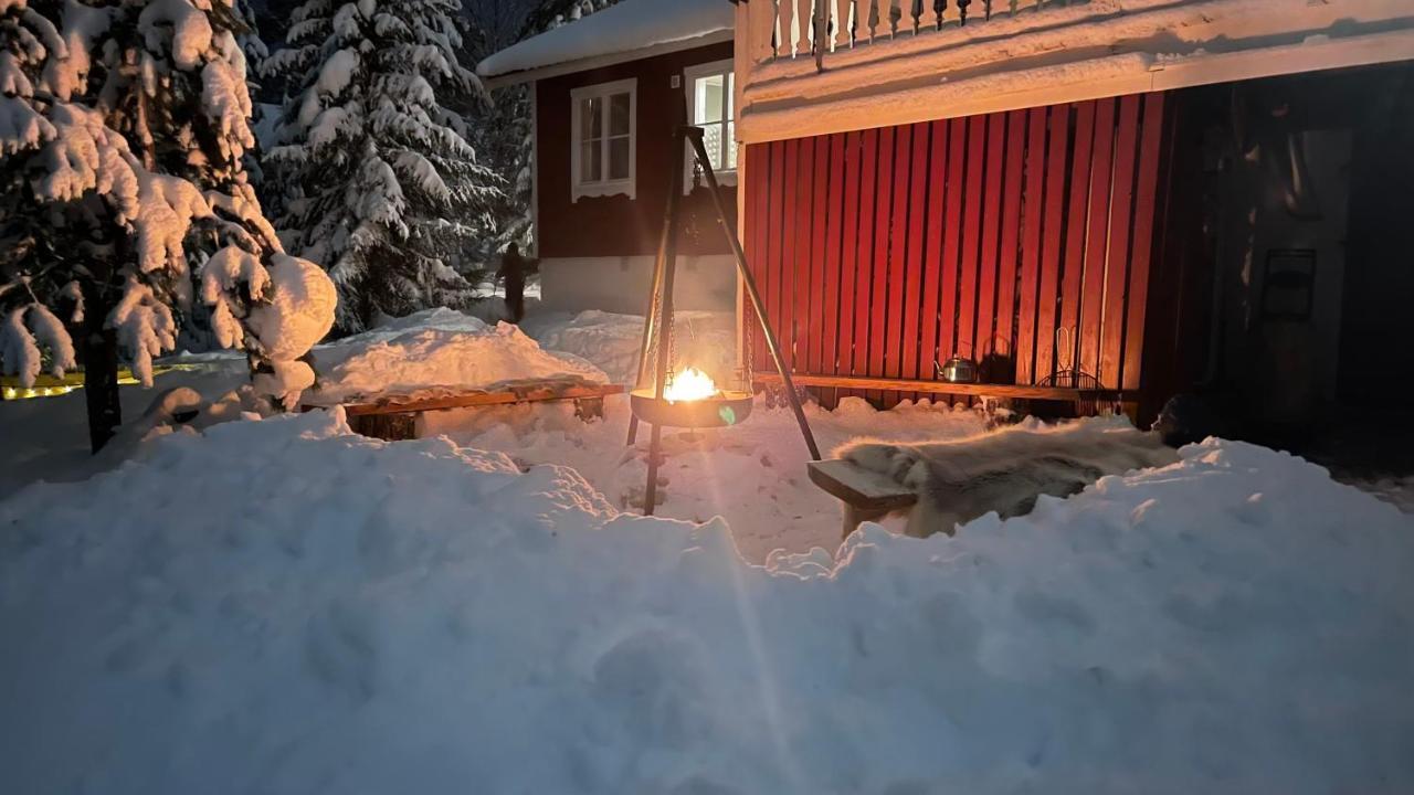 Mountain Cabin Lofsdalen Εξωτερικό φωτογραφία