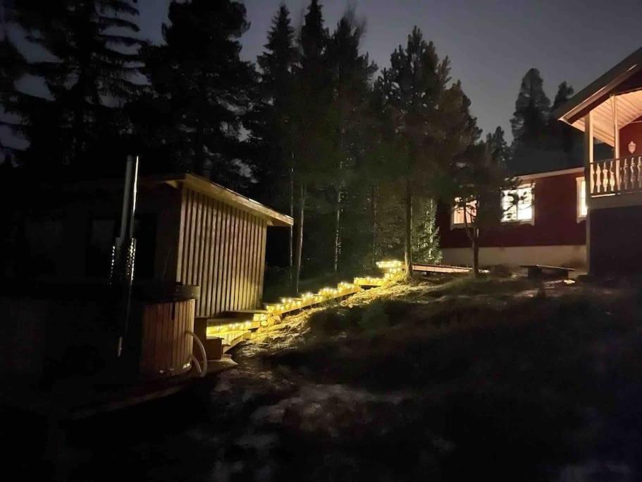 Mountain Cabin Lofsdalen Εξωτερικό φωτογραφία