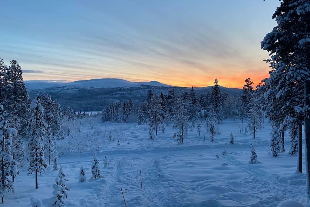 Mountain Cabin Lofsdalen Εξωτερικό φωτογραφία