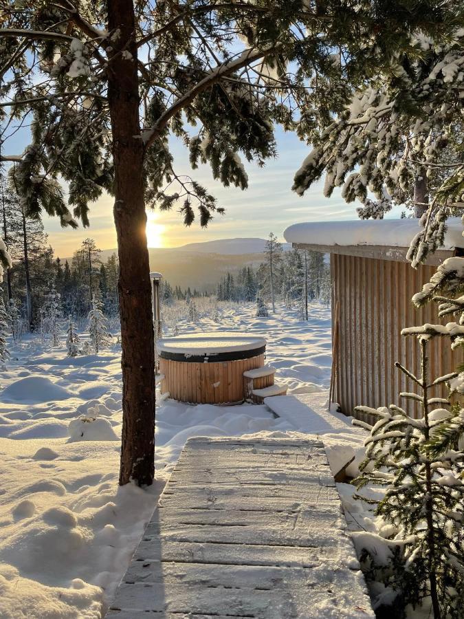 Mountain Cabin Lofsdalen Εξωτερικό φωτογραφία