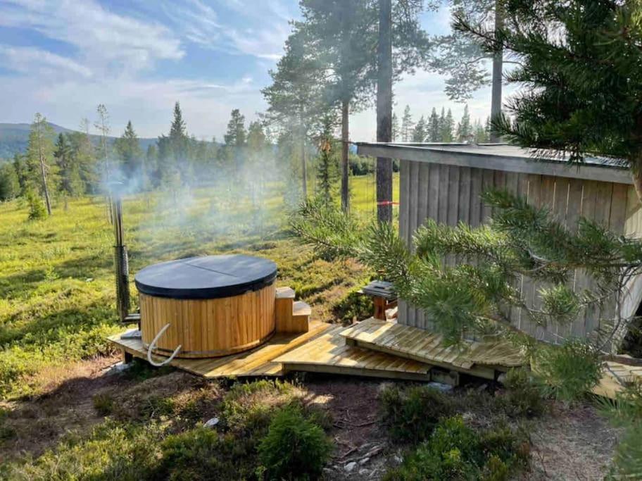 Mountain Cabin Lofsdalen Εξωτερικό φωτογραφία