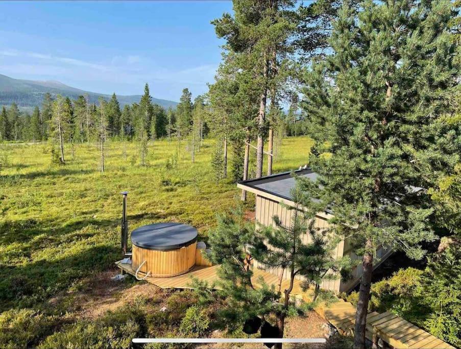 Mountain Cabin Lofsdalen Εξωτερικό φωτογραφία