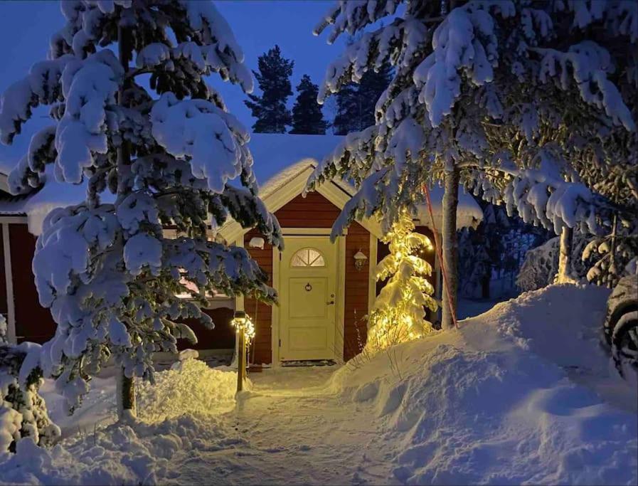 Mountain Cabin Lofsdalen Εξωτερικό φωτογραφία