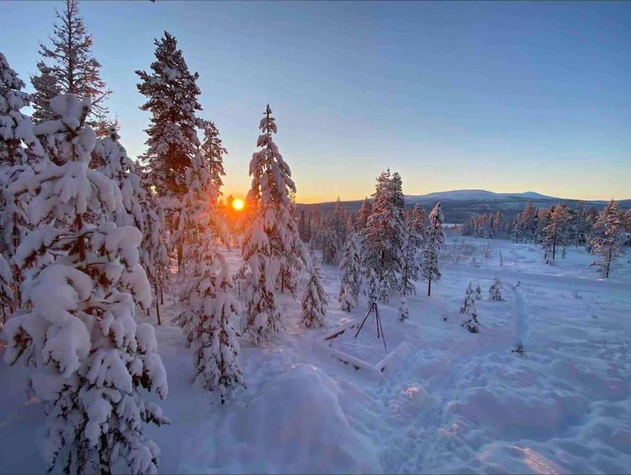 Mountain Cabin Lofsdalen Εξωτερικό φωτογραφία