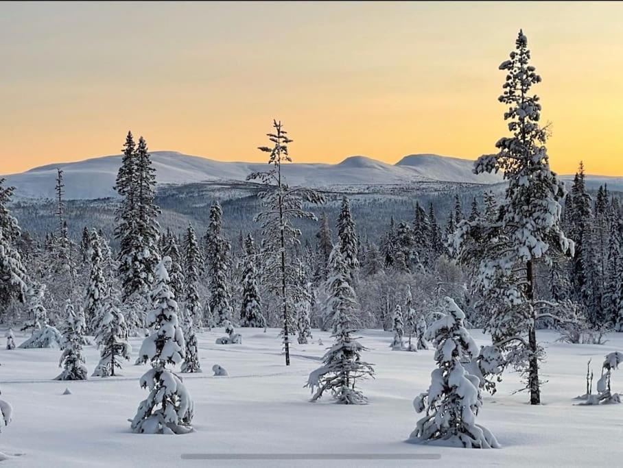 Mountain Cabin Lofsdalen Εξωτερικό φωτογραφία