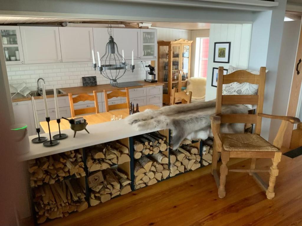 Mountain Cabin Lofsdalen Εξωτερικό φωτογραφία