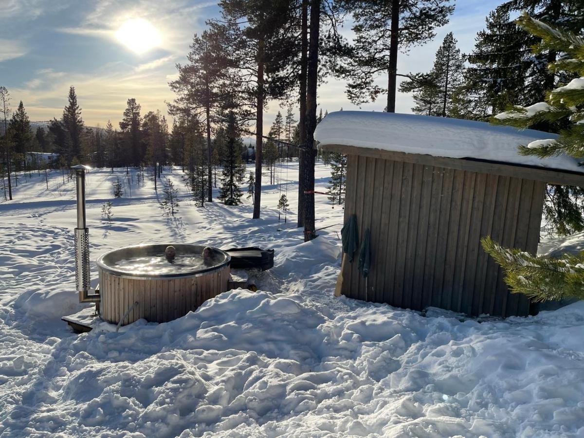 Mountain Cabin Lofsdalen Εξωτερικό φωτογραφία