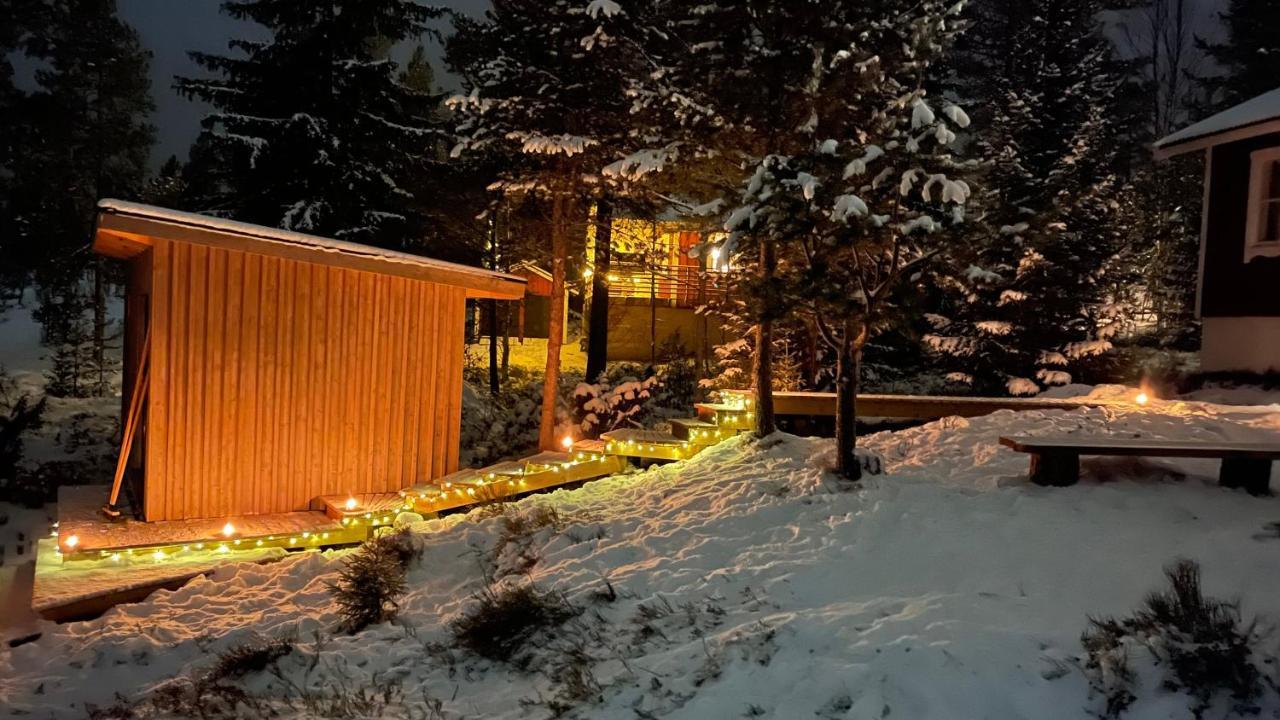 Mountain Cabin Lofsdalen Εξωτερικό φωτογραφία