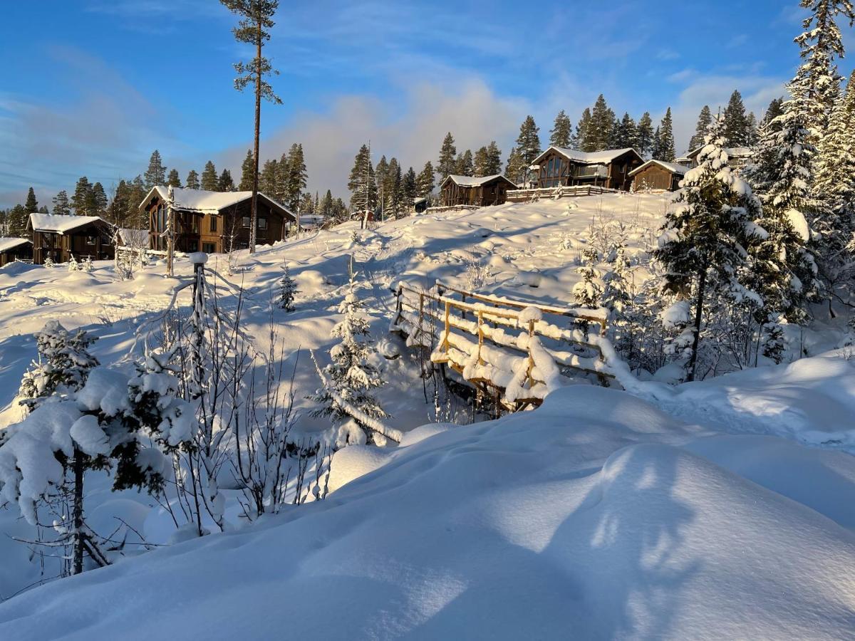 Mountain Cabin Lofsdalen Εξωτερικό φωτογραφία