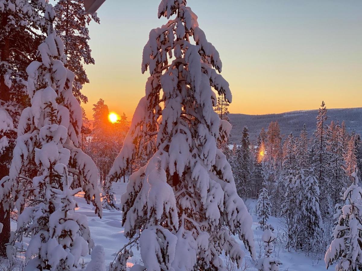 Mountain Cabin Lofsdalen Εξωτερικό φωτογραφία