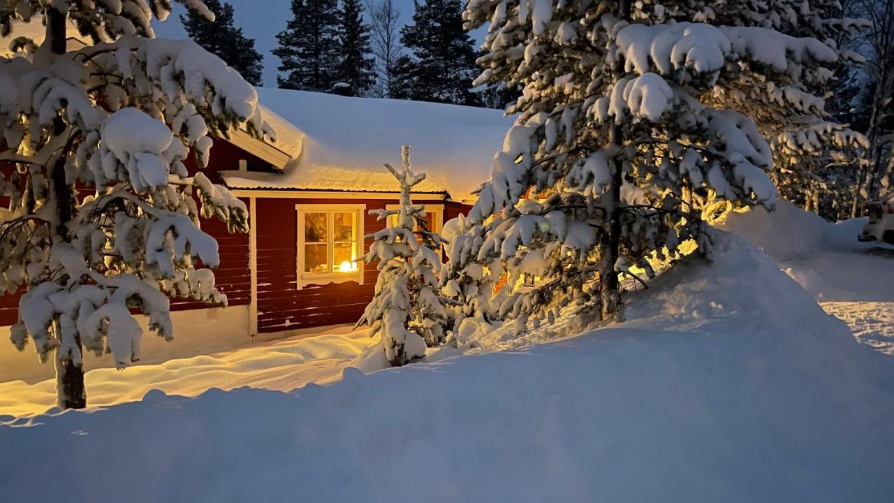 Mountain Cabin Lofsdalen Εξωτερικό φωτογραφία