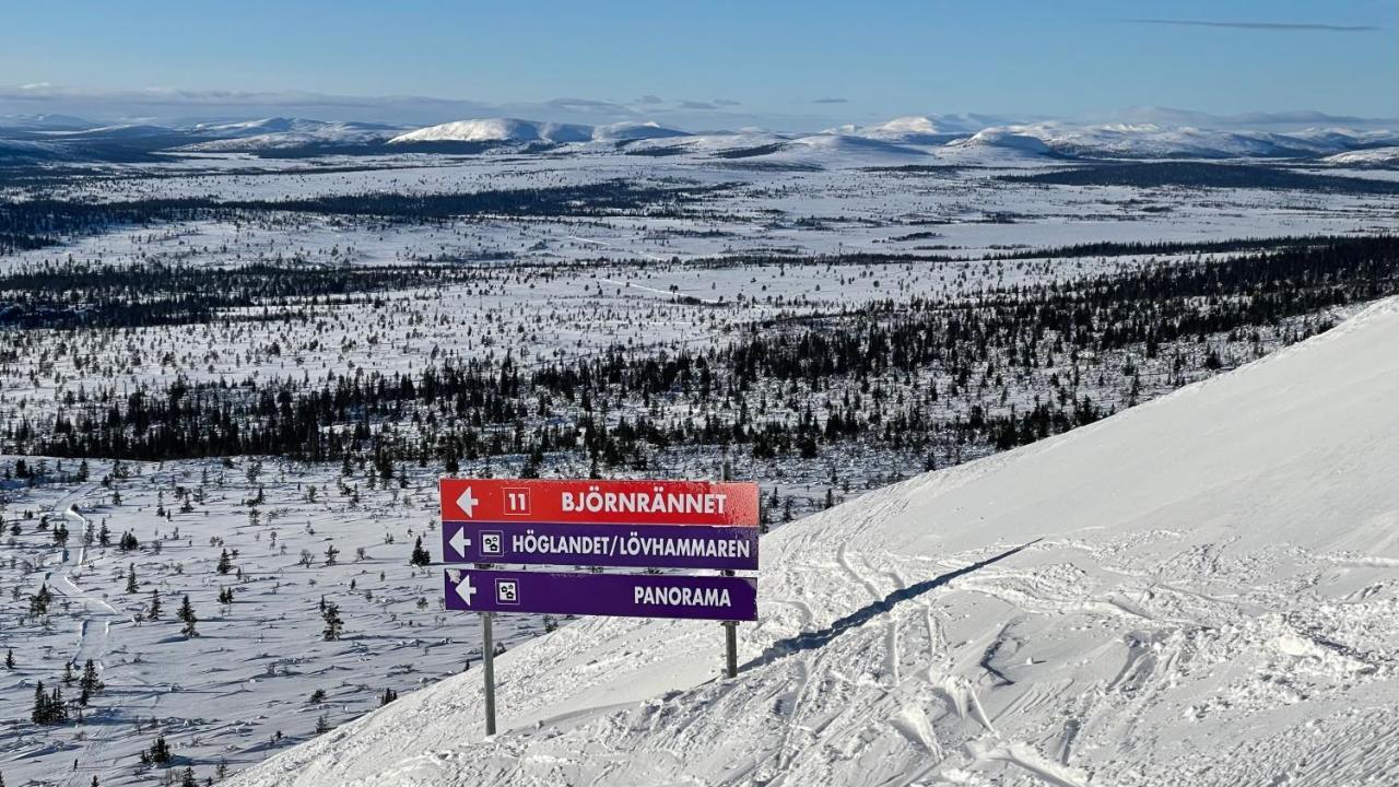 Mountain Cabin Lofsdalen Εξωτερικό φωτογραφία