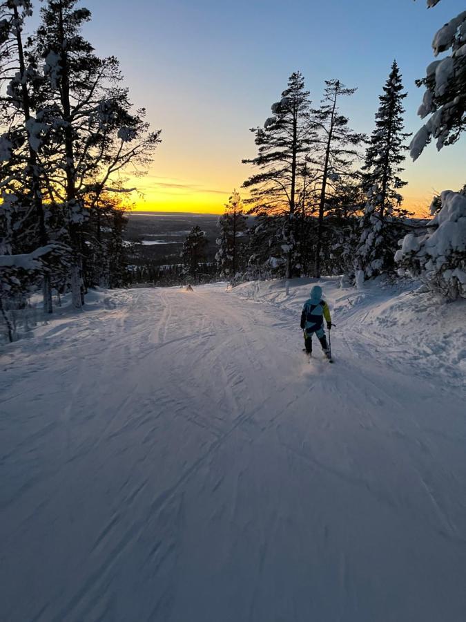 Mountain Cabin Lofsdalen Εξωτερικό φωτογραφία