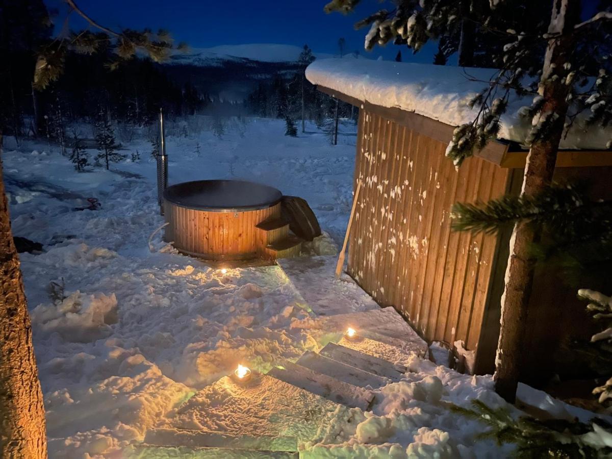 Mountain Cabin Lofsdalen Εξωτερικό φωτογραφία