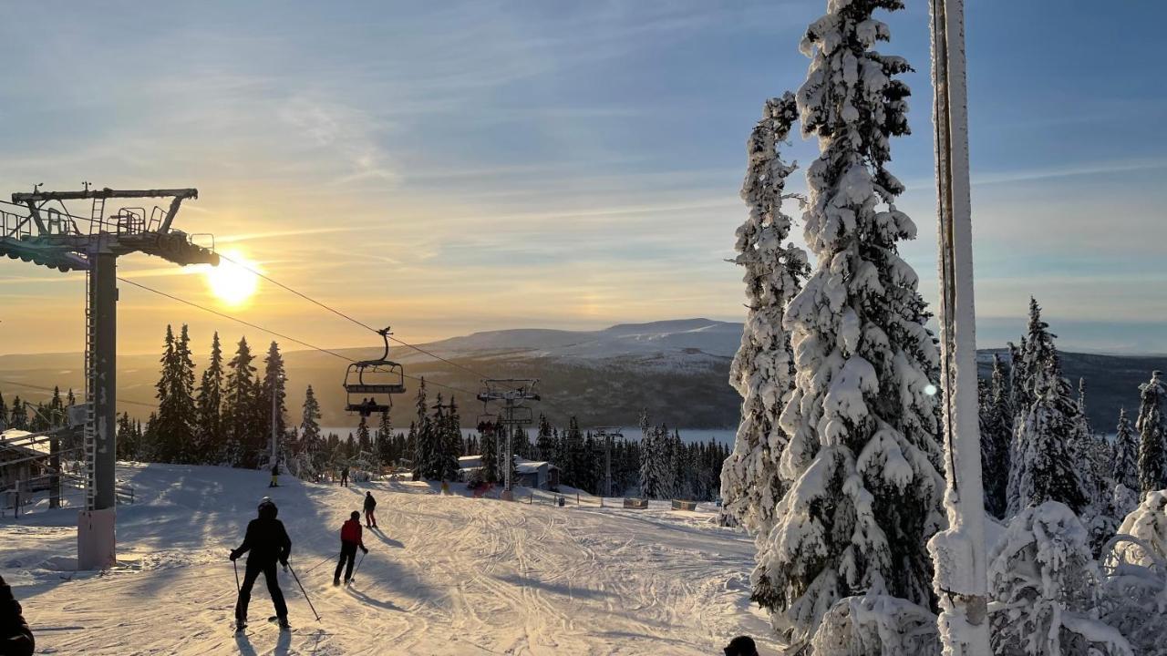 Mountain Cabin Lofsdalen Εξωτερικό φωτογραφία