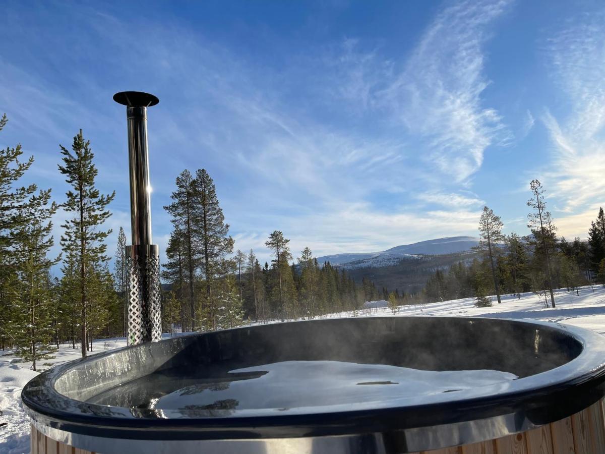 Mountain Cabin Lofsdalen Εξωτερικό φωτογραφία