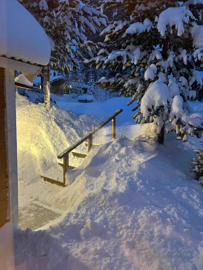 Mountain Cabin Lofsdalen Εξωτερικό φωτογραφία