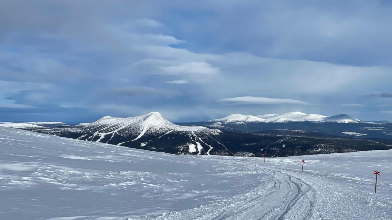 Mountain Cabin Lofsdalen Εξωτερικό φωτογραφία