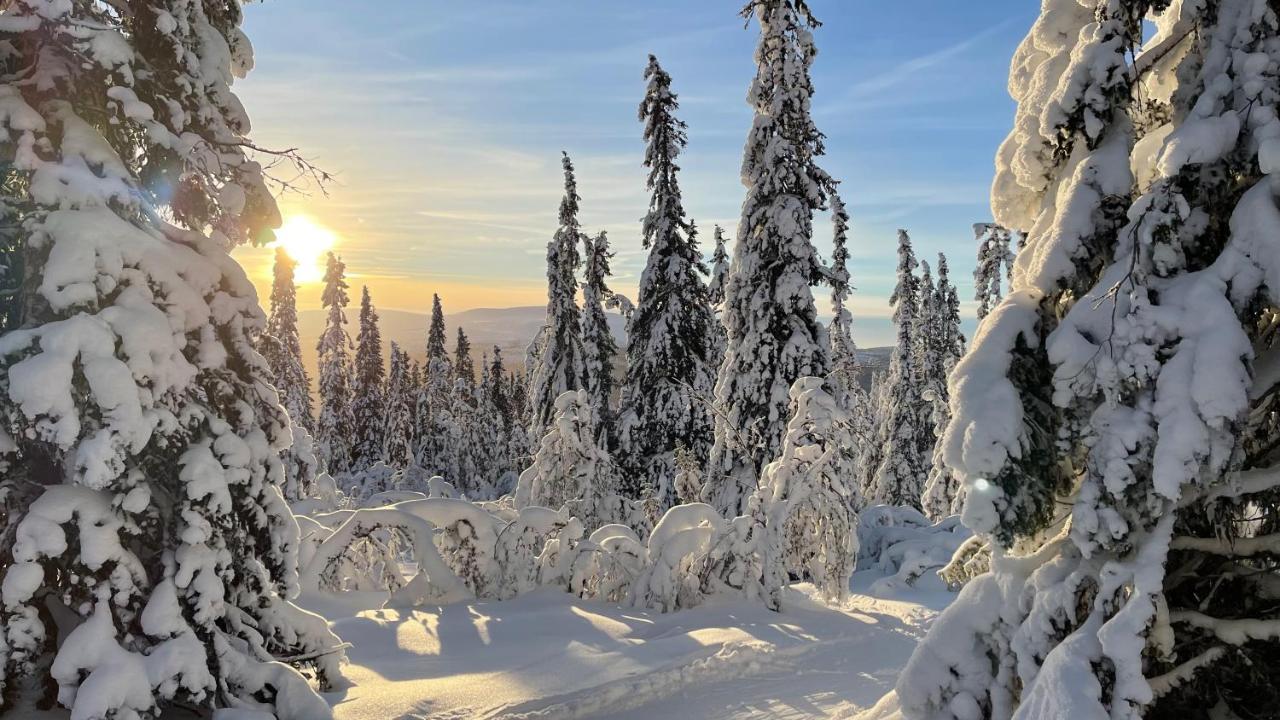 Mountain Cabin Lofsdalen Εξωτερικό φωτογραφία