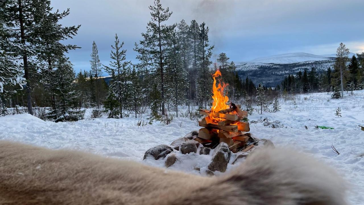 Mountain Cabin Lofsdalen Εξωτερικό φωτογραφία